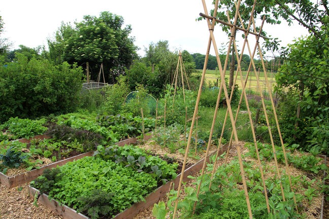 Permakultur Garten